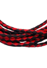 biczowanie