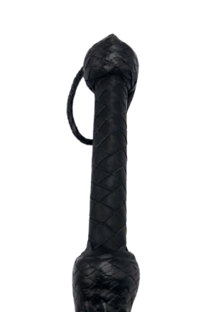 biczowanie