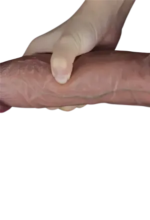 Dużych rozmiarów dildo z widoczną strukturą żył