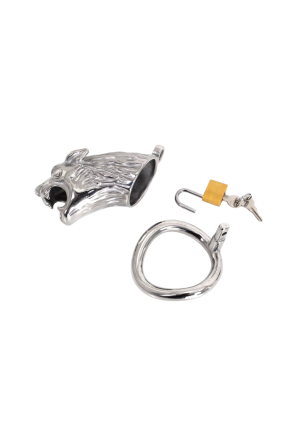 Stalowy pas cnoty z motywem lwa i z pierścieniem 4,5 cm