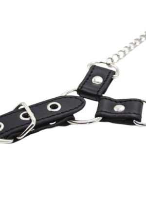Zaciski na sutki z łańcuszkiem i pierścieniem erekcyjnym – intensywna gra dominacji i stymulacji