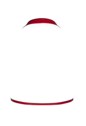 Biustonosz z paskami wykonany z materiału typu wetlook