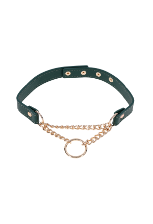 Regulowany naszyjnik typu collar