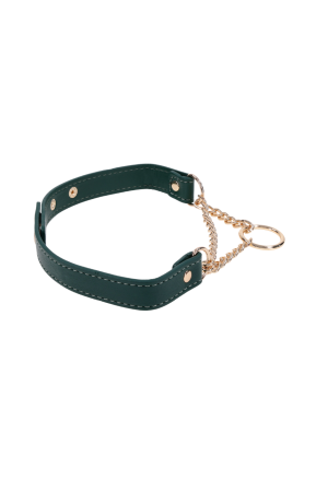 Regulowany naszyjnik typu collar