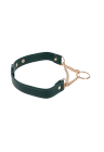Regulowany naszyjnik typu collar