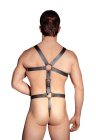 Męski, skórzany harness z ringiem na jądra